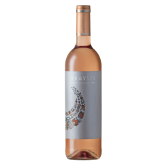 Вино Коин Рок Намысто Розе, розовое сухое, Южная Африка, 1 бутылка