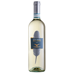 Campagnola Pinot Grigio Delle Venezie