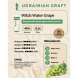 Witch Water Grape характеристика