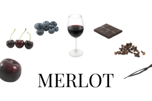 За що любити вино Мерло? Як правильно обрати Merlot?