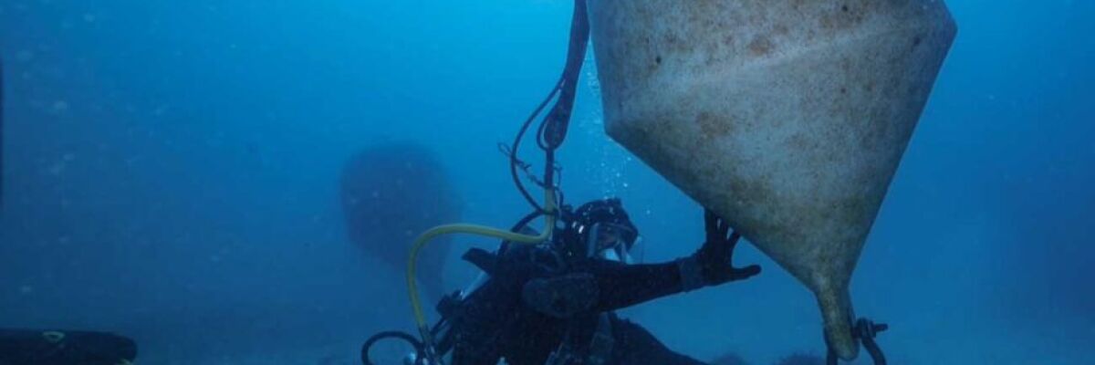 Подводное вино Subsea Estate