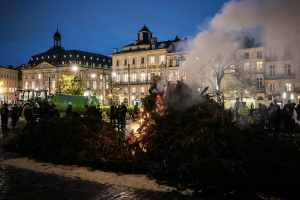 Виноделы Бордо столкнулись с невозможным выбором